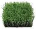 10 Inch X 10 Inch X 4 Inch Polyblend Long Wheat  Grass Mat - Regular Or Fire Retardant