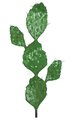 38 inches Plastic Prickly Pear Cactus with Brown Needles - Green - Bare Stem - 3.25 inches Stem
