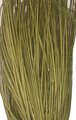 30" PVC Onion Grass - Olive/Cream-Green/Yellow - Weighted Base Fire Retardant