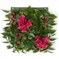 10 Inch X 10 Inch Outdoor Plastic Bougainvillea Mat With Fuchsia  Flowers
