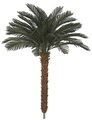 4.5 FEET X 48 INCH WIDTH POLYBLEND CYCAS PALM TREES - USING A-019 BRANCH