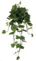 55 inches HANGING Grape SQUASH IVY BUSH