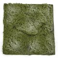 20 Inch X 20 Inch Lightly Flocked Artificial Moss Carpet