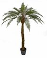68 Inch Potted Fern Tree With Synthetic Trunk