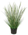 41 Inch Potted Pvc Onion Grass And Equisetum