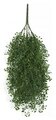 24 Inch Outdoor Polyblend Hanging Claytonia Bush.