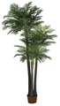 12.5 Foot Areca Palm Tree