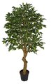 6 Foot Ficus Trees With Synthetic Trunk