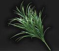 26 inches Outdoor Onion FIELD GRASS Green