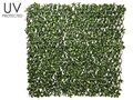 39.3"Wx78.7"L Outdoor UV Protected Gardenia Leaf Trellis Green