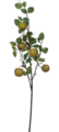 24 Inch Yellow/Green Apple  Spray