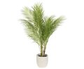 42" Areca Palm Tree in Cement Pot Green