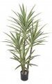 60" Plastic Yucca Tree - Synthetic Trunks - 4 Green/Yellow Heads - 36" Width - Weighted Base - Limited UV Protection