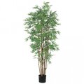 5' Outdoor Japanese Bamboo Tree with 2400 Leaves in Pot Two Tone Green