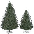 Full-Size Abington Blue Spruce Trees