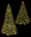 Flocked Pe/Pvc Sheldon Fir Christmas Tree With 3Mm Led Lights | 7.5 Ft., 9 Ft., 12 Ft.