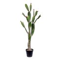 57" Green Potted Cactus Natural Touch