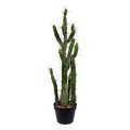 34" Artificial Green Cactus in a Black Plastic Planters Pot
