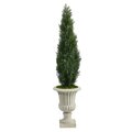 5 Foot Cedar Topiary in Resin Urn Green Indoor/Outdoor