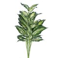 3' Artificial Green and White Marble Dieffenbachia Plant Featuring 5 Branches with 40 Leaves