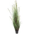 60 inches Eucalyptus Outdoor Grass Potted