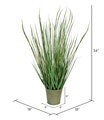 34" Green Reed Grass In Iron Pot