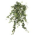 26" Mini Variegated Ivy Hanging Bush-Green