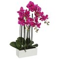 21" Purple Potted Orchid