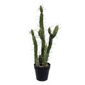 24" Green Potted Cactus