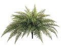 28 inches Outdoor Mountain Fern Bush with 54 Leaves Green