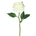 13" White Peony Rose Stem