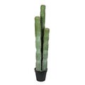 54 inches Green Potted Cactus