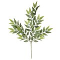 27" Mini Green Ficus Leaves Spray