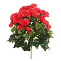 15.25" Red Begonia Bush