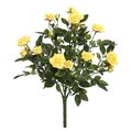 15" Yellow Mini Diamond Rose Bush