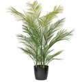 60" Green Areca Palm Plant