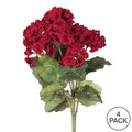 18" Red Geranium Bush 4/Pk