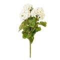 18" White Geranium Bush 4/pk