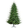 9' x 80" Unlit Takoma Frasier Fir Christmas Tree , 3175 PE/PVC Tips
