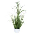 32" Green Potted Bamboo Grass