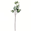 24" Green Variegated Ivy Spray 6/pk