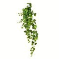 51" Green Pothos Leaf Hanging Bush