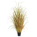 60 inches Mixed Outdoor Brown Grass in Pot