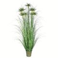 60" Green Outdoor Cyperus Grass In Iron Pot