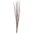 45" Dried Natural Brown Birch Twig, 6 stem Set