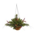 12"x20" Mixed Berry In  Cone Hanging Basket 61T