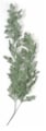 30.5 Inch Outdoor Hanging Hemlock Spray
