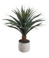 27" Agave Plant in Cement Pot  Green