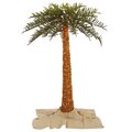 6' Out Royal Palm Tree Dura-Lit 500WW
