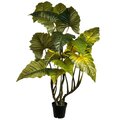 69 inches Philodendron Red Prince Tree in Pot Green